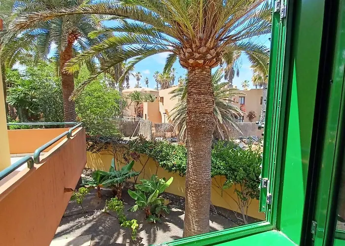 With Fast Wifi Corralejo